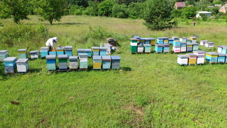 apiary in the countryside. apiarist examining bees near beehives. wooden hives among green nature. camera moves to the right. drone view.