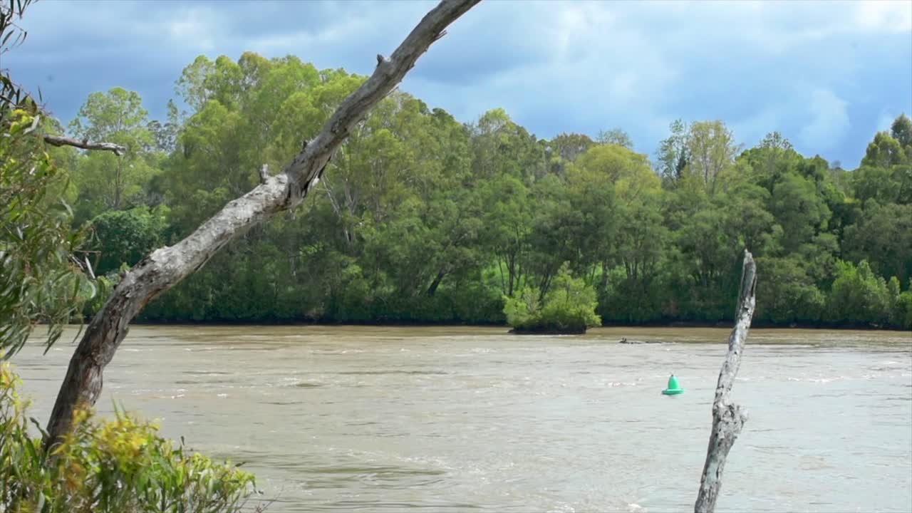 солнце освещает широкую бурлящую реку с лесистыми берегами, текущую через австралийский буш под хмурым пасмурным небом