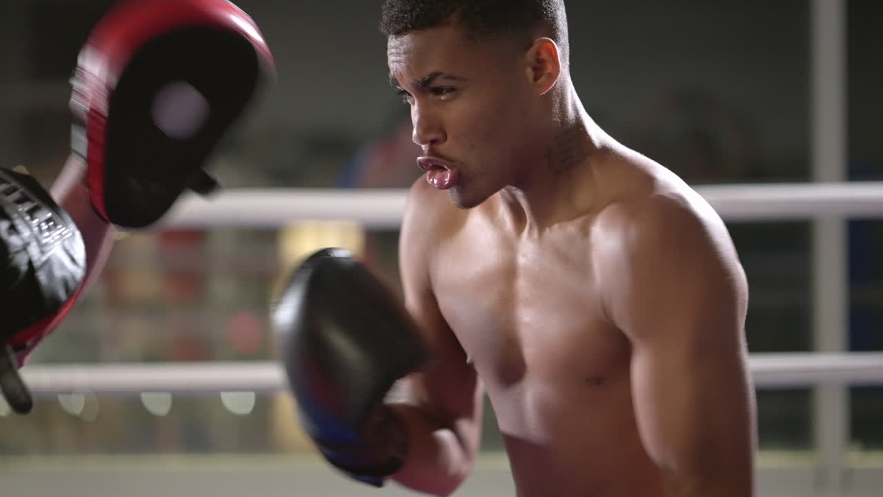 권투 훈련 세션