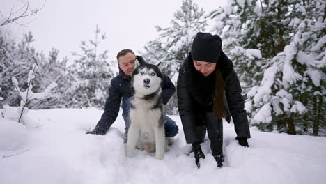 beautiful family, a man and a girl in winter forest with dog. play with the dog siberian husky.