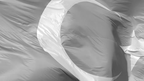 flying turkish flag close up in black and white slomo