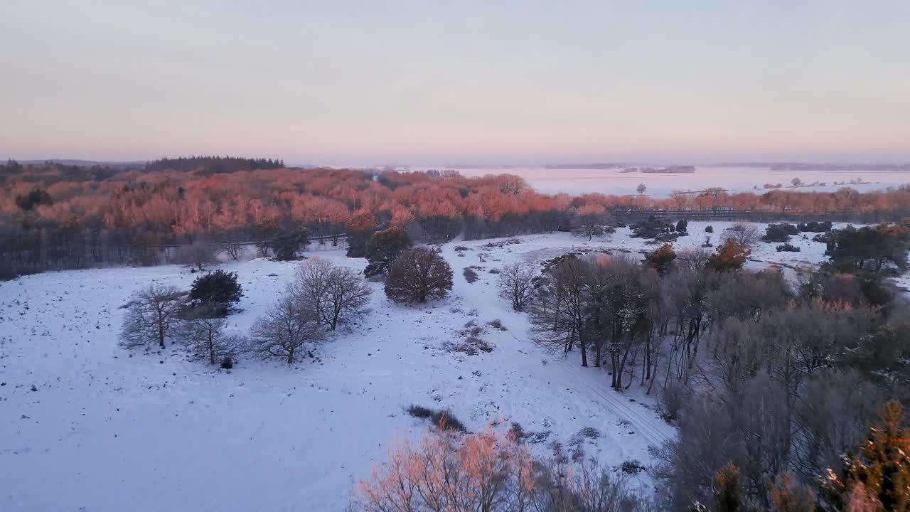 Zimowy krajobraz ze śniegiem i drzewami