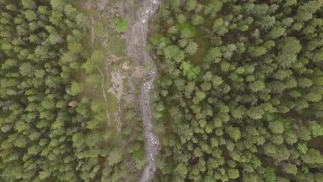 a dry river canyon through the woods