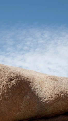 Joshua-Tree-National-Park,-California,-United-States-of-America-in-vertical