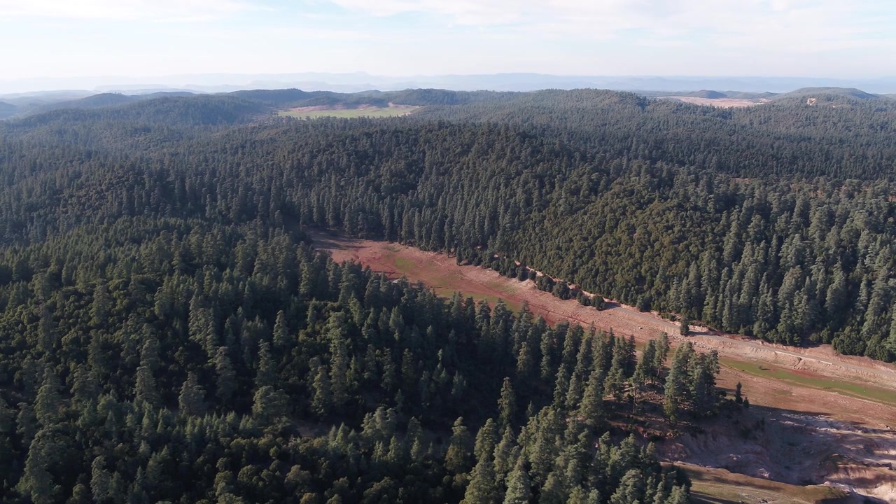 Brett filmiskt flygdrönarpanorama över oändliga cederskogar som sträcker sig över Mellanatlasbergen i Marocko, perfekt för naturdokumentärer och vildmarksprojekt.