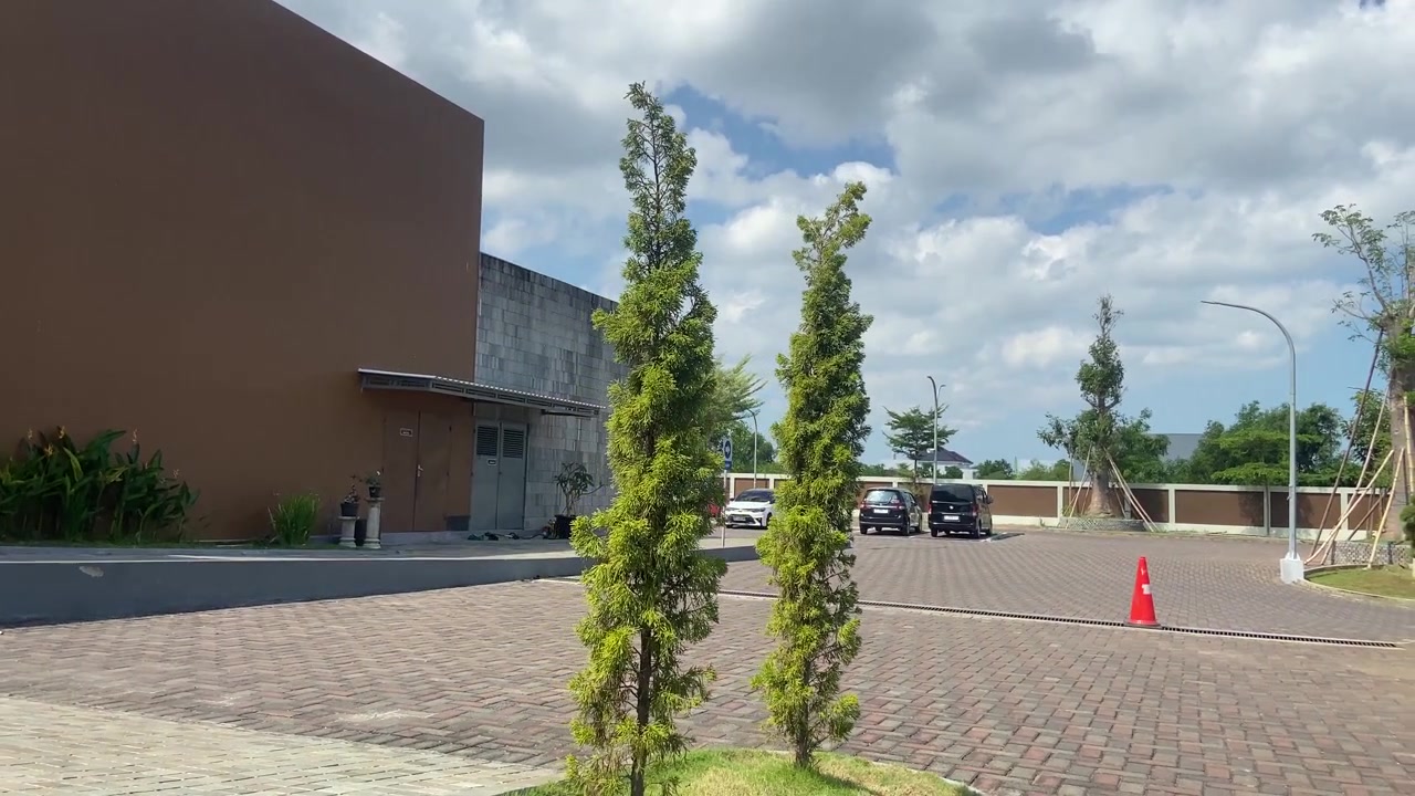 Dos árboles perennes altos meciéndose con el viento en un área exterior pavimentada