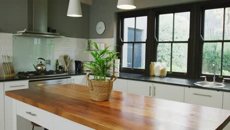 Empty-house-interior-with-kitchen-window-and-plant-on-table,-slow-motion