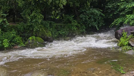 río furioso en un bosque