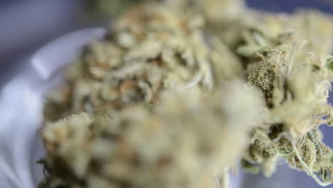 makro-close-up-rotating-shot-of-marijuana