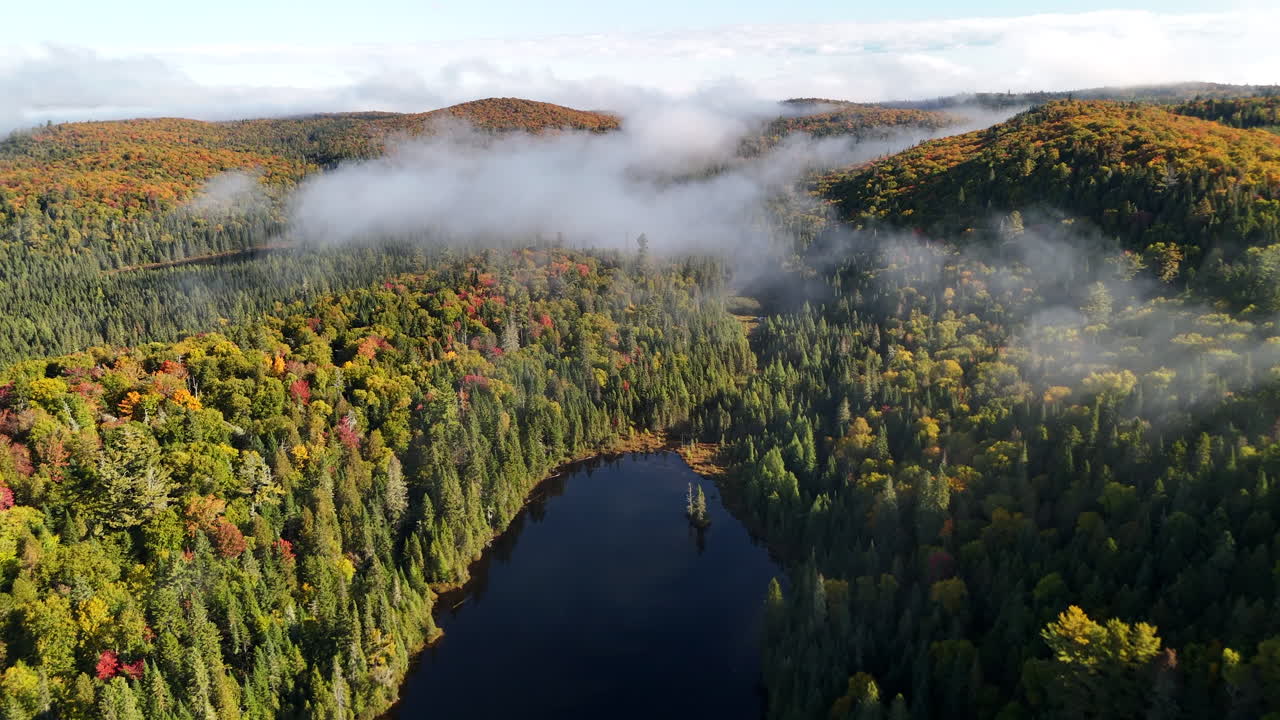 Aerial view of an autumn forest with mountains and lake in morning fog at sunrise in Mauricie, Quebec, Canada. Soft light highlights colorful foliage and serene wilderness