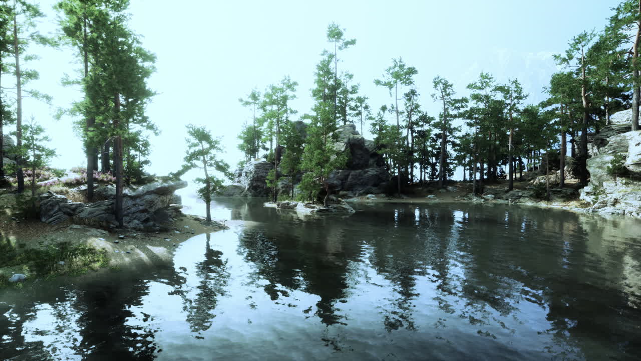 조용한 강변 에 있는 조용 한 숲 풍경