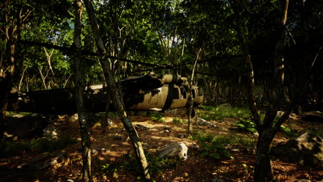 Military-helicopter-in-deep-jungle