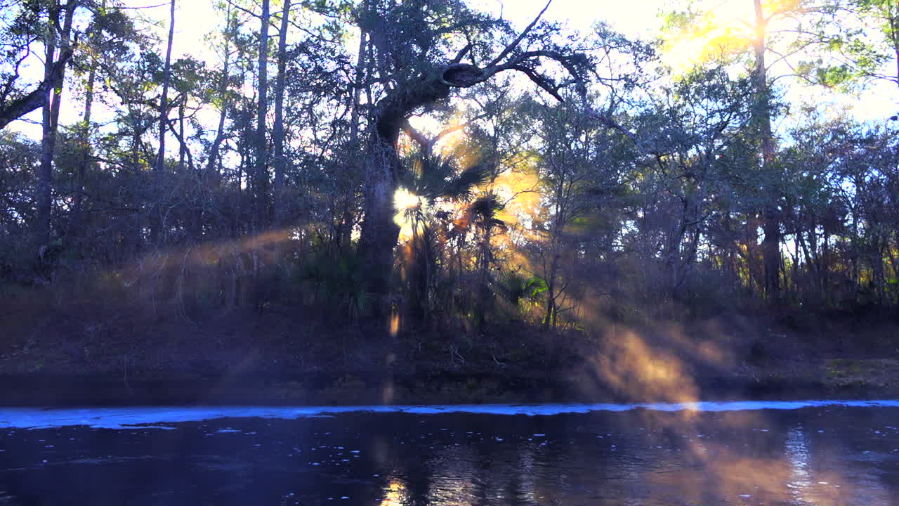 la niebla matutina se eleva en los everglades de florida