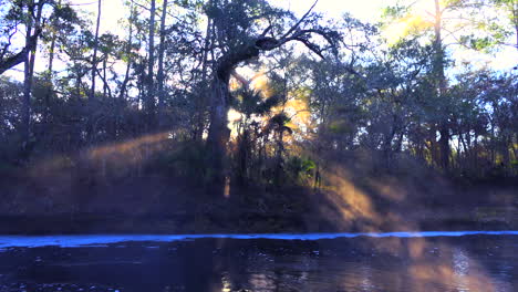 morning fog rises in the florida everglades