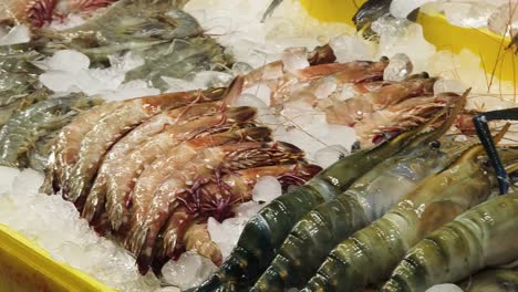 mariscos frescos en un mercado