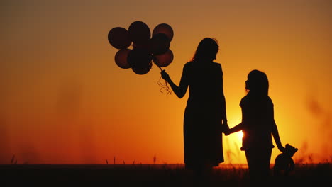 Mom-And-Daughter-Are-Standing-On-A-Meadow-At-Sunset-They-Are-Holding-Balls-And-A-Teddy-Bear-Inspirat