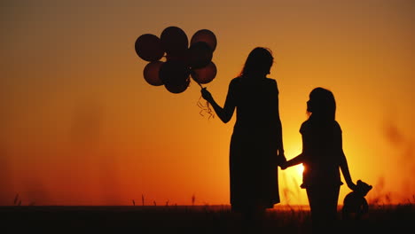 mom and daughter are standing on a meadow at sunset they are holding balls and a teddy bear inspirat