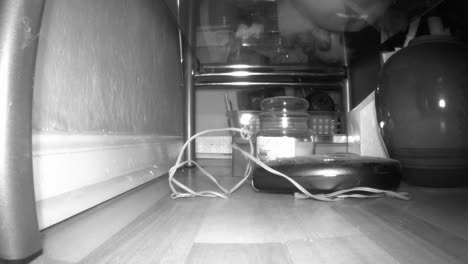 a mouse running about in the dark