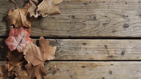 close up view of autumn leaves with copy space on wooden surface