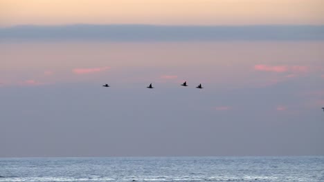 Alcatraces-Aves-Marinas-Volando-Sobre-Las-Olas-Bajo-Un-Cielo-Nocturno-Púrpura--pan