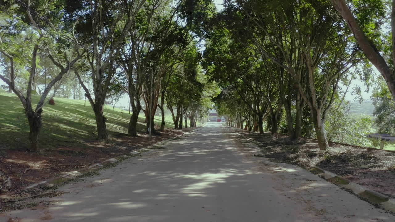 Drone shot of a street surrounded by trees with flare from the sun coming in trough the top. Traveling in take in the street.