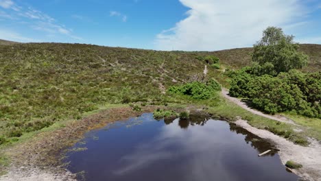 new forest hampshire .slow low drone flight over pool crossing the water and rising up bank showing extensive scenery and tracks across the heathland landscape on sunny day in early summer