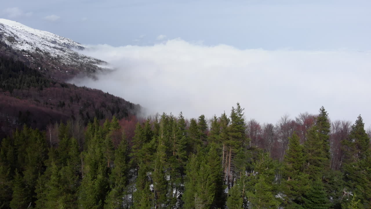 vista aérea de hermosos bosques laderas de montañas cubiertas de nubes flotantes pico de montaña cubierto de nieve en la distancia día