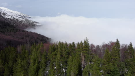 Aerial-view-of-beautiful-forest-mountain-slopes-covered-in-floating-clouds-snow-covered-mountain-peak-at-the-distance-day