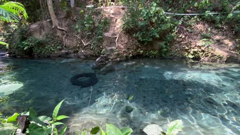 kali umbul gumuk in magelang, indonesia, a river with clear springs showing the riverbed