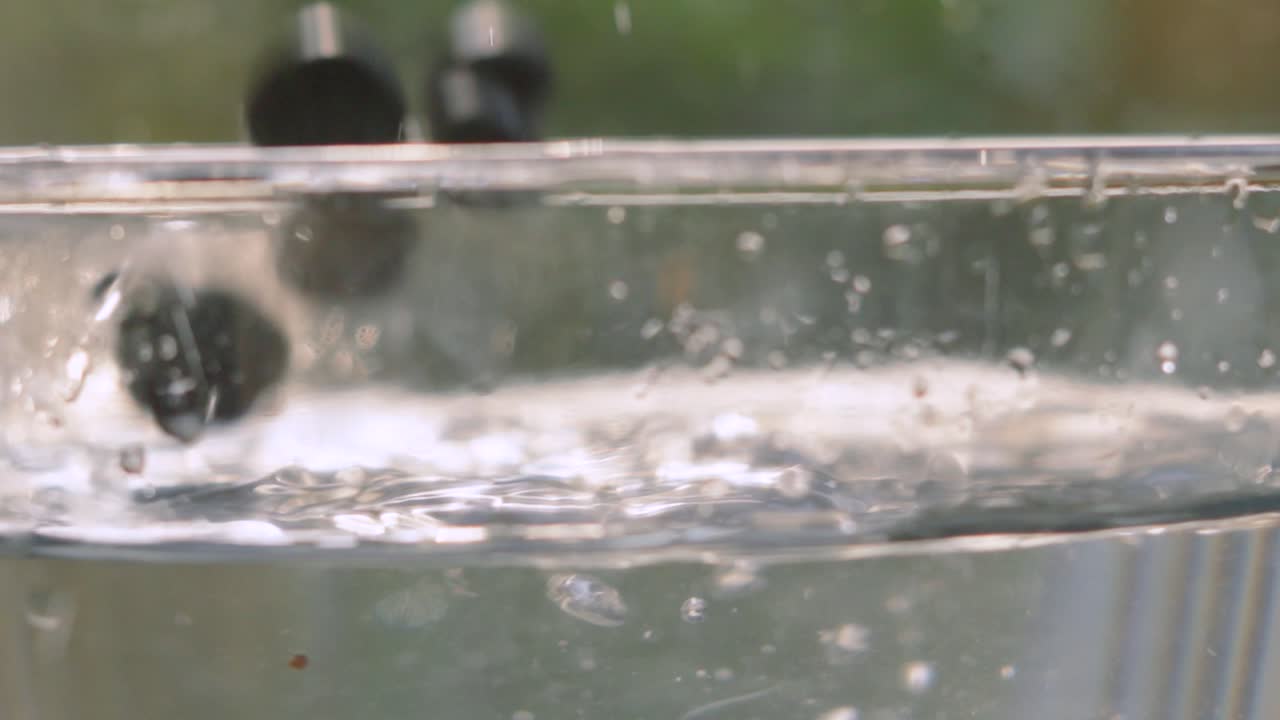 Blueberries Falling into Water in Slow Motion with Evening Sunlight Behind as They Rise to Top. Ripe Fruit High in Magnesium and Fibre. Healthy Eating Food Footage