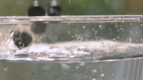 blueberries falling into water in slow motion with evening sunlight behind as they rise to top. ripe fruit high in magnesium and fibre. healthy eating food footage