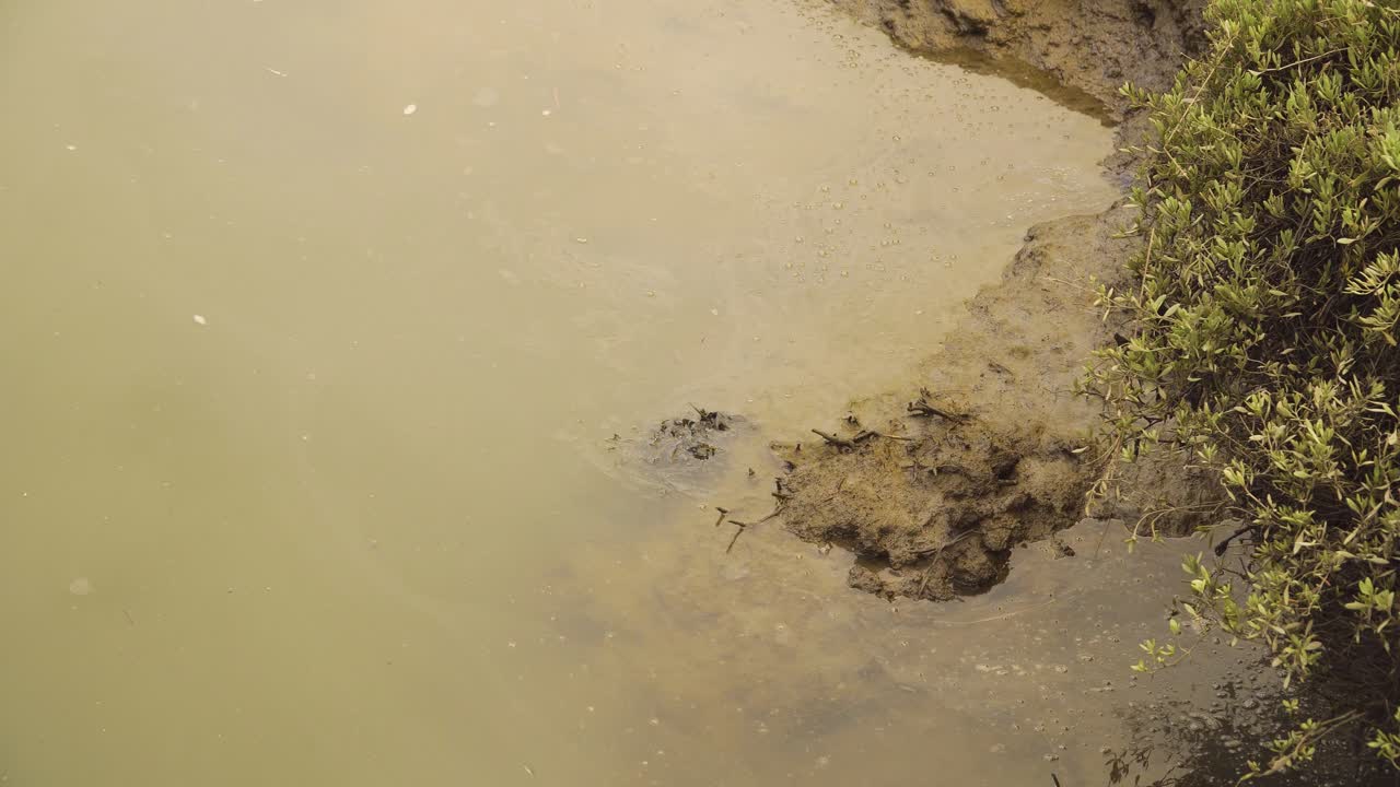 lecho de río fangoso de 4k en marea baja con un poco de agua que fluye río abajo hacia el océano