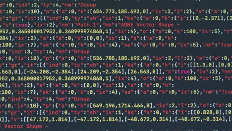 computer code displaying vector graphics and data