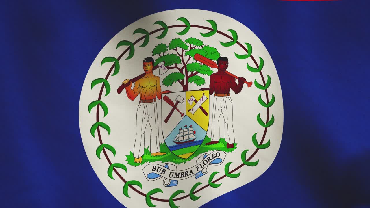 민주주의의 상징으로 배경 발을 흔드는 벨리즈 - 애니메이션 원활한 비디오 루프