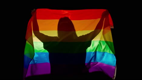 person silhouette holding rainbow flag against yellow background silhouette of man with lgbt pride love and diversity advertisement concept person silhouette holding rainbow flag against yellow background silhouette of man with lgbt pride flag holding in hands