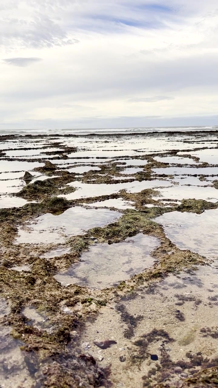 Low tide on coastline exposes shallow rock pools. Vertical