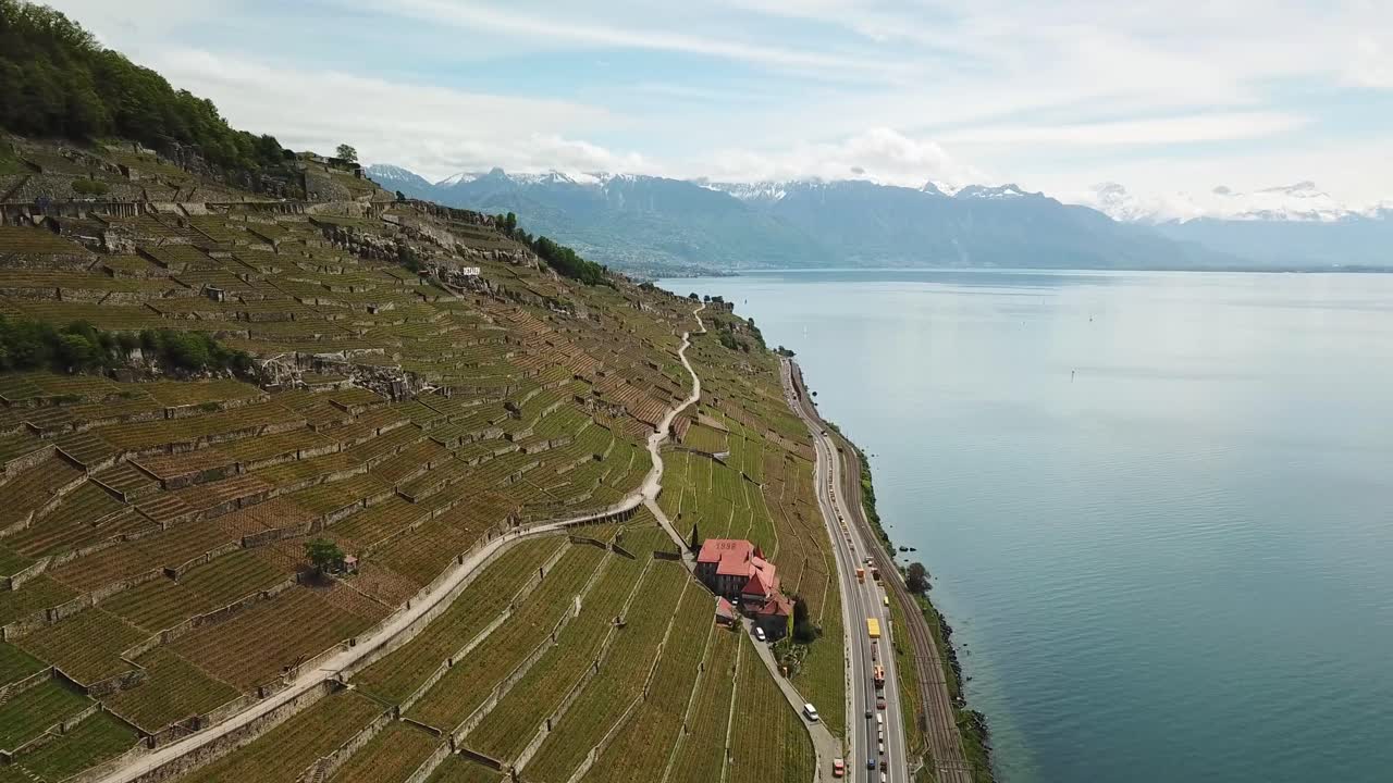 Stunning aerial view of Lavaux vineyard terraces, featuring a scenic road and the majestic alps mountains, Puidoux, Lac Leman, Genfersee, Vaud, Switzerland, slow motion drone footage