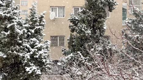 los copos de nieve cubren los árboles verdes de ciprés de pino en un frío invierno helado en el paisaje de la ciudad de teherán en irán nevadas ligeras crean una vista amplia icónica escénica asombrosa en la calle mirando desde el cálido calor del hogar