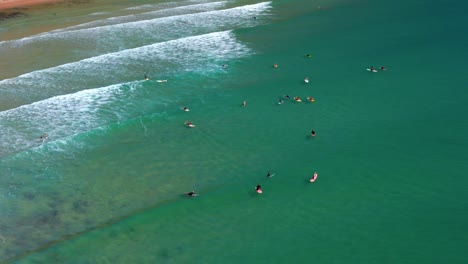 touristen schwimmen mit ihren surfbrettern am strand des noosa-nationalparks in queensland, australien