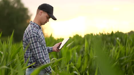 Farmer-agronomist-with-tablet-computer-in-bare-empty-field-in-sunset-serious-confident-man-using-modern-technology-in-agricultural-production-planning-and-preparation