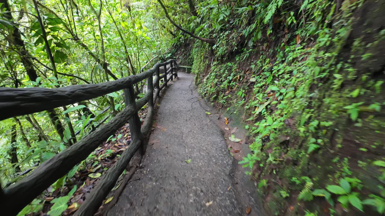 Walking through a lush rainforest path with wooden railings in Mistico Park, La Fortuna, Costa Rica