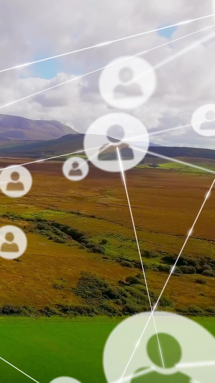 Video verticale: Brughiera rurale stabile dopo due fotogrammi, overlay tecnologico che disegna collegamenti avatar per la rete