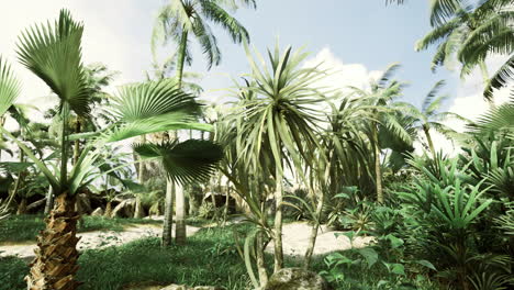 lush tropical vegetation under clear sky in a serene natural landscape