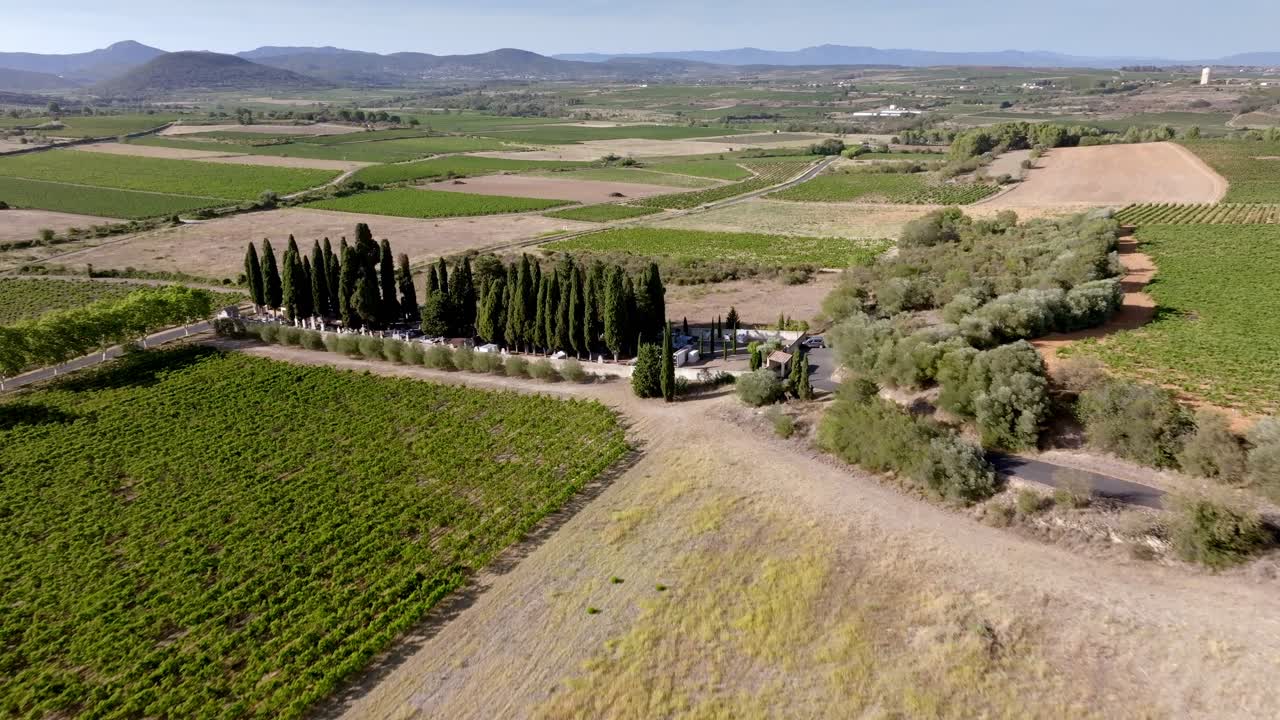 Landscape with vineyards, aerial view abobe cemetery, dry weather, it's hot in the south of France
