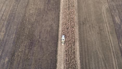 combine harvester harvests corn in the field - aerial top down