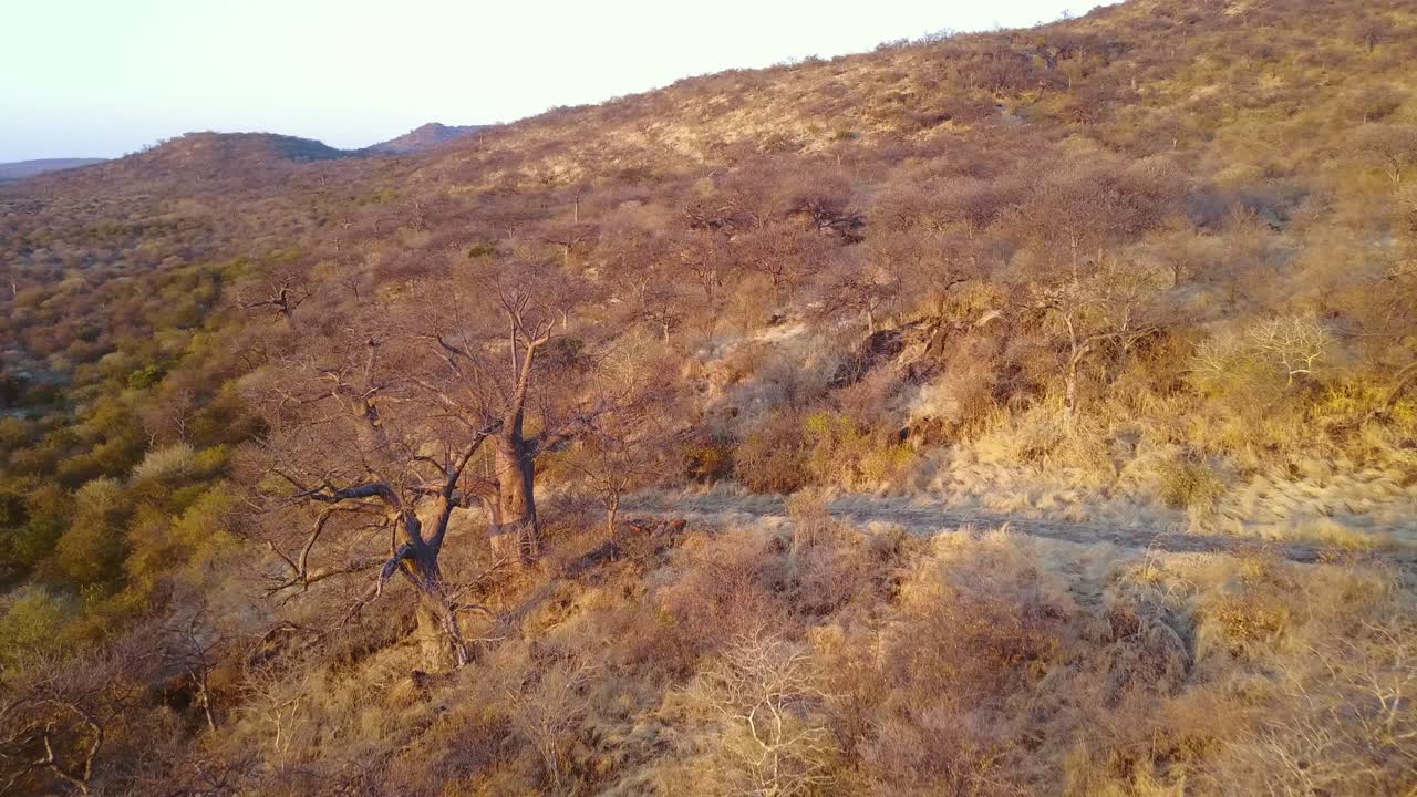 사바나 위의 아프리카 풍경 위를 날다