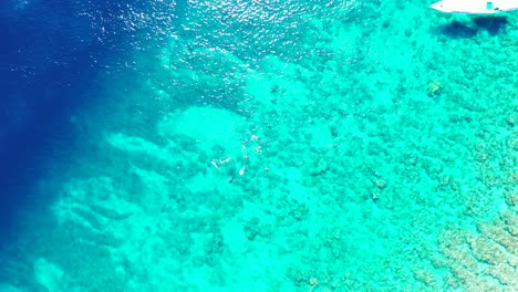 textura de agua de mar turquesa