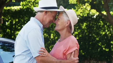 Romantic-senior-couple-looking-at-each-other-in-park