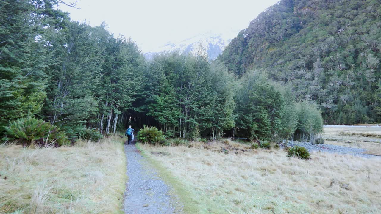 울창한 숲을 트레킹하는 솔로 여성 백패커의 샷을 따라가세요.