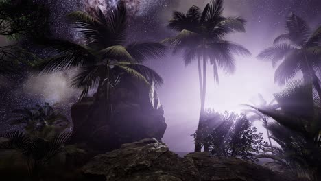 la galaxia de la vía láctea sobre la selva tropical.